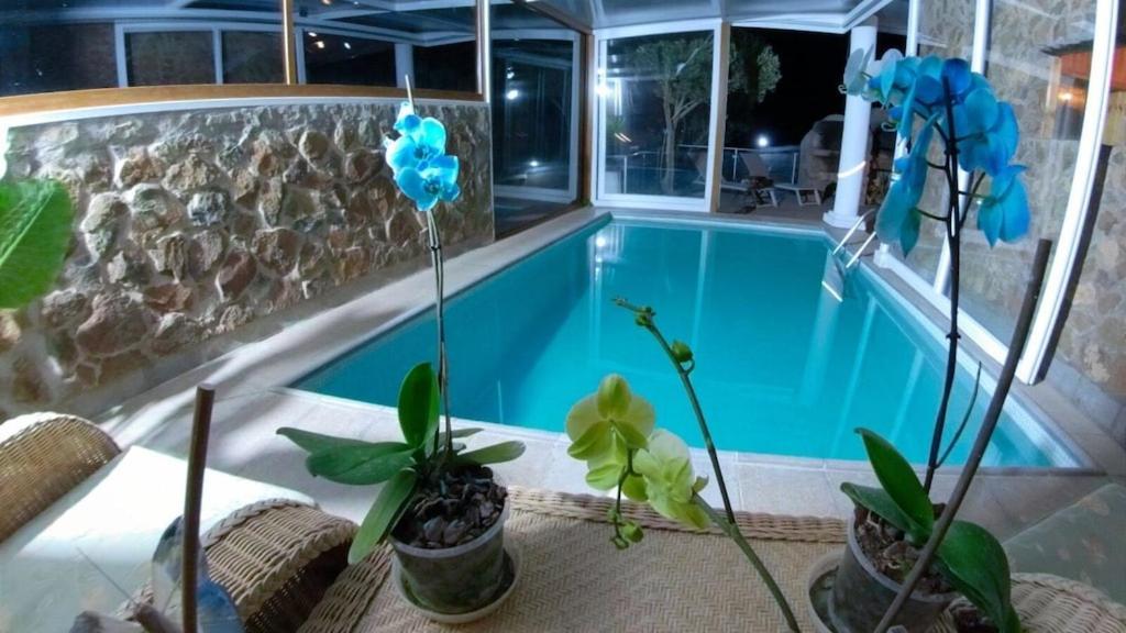 Villa Cantos Del Grillo Ingenio Dış mekan fotoğraf